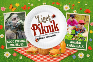 Liget Piknik 2025 családi program koncertekkel